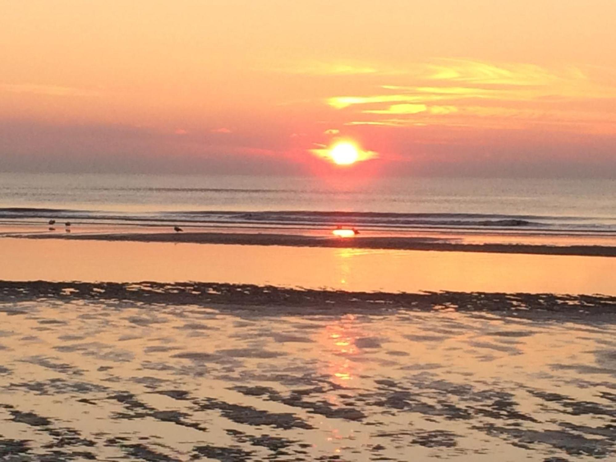 Hotel Noordzee ซานด์โวร์ต ภายนอก รูปภาพ